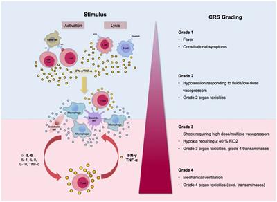 A review of cytokine-based pathophysiology of Long COVID symptoms